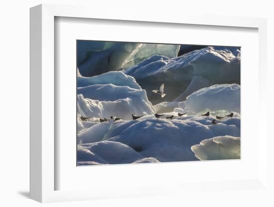 Iceland 6-Art Wolfe-Framed Photographic Print