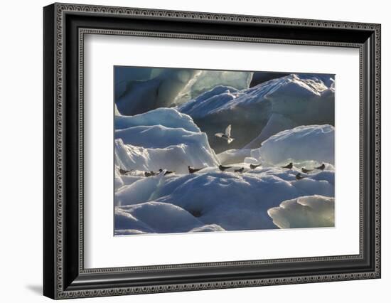 Iceland 6-Art Wolfe-Framed Photographic Print