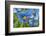 Iceland, Akureyri. Blue Poppies in the Botanical Garden Lystigaardur-Cindy Miller Hopkins-Framed Photographic Print