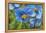 Iceland, Akureyri. Blue Poppies in the Botanical Garden Lystigaardur-Cindy Miller Hopkins-Framed Premier Image Canvas
