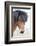 Iceland, Akureyri. Icelandic horse portrait.-Ellen Goff-Framed Photographic Print