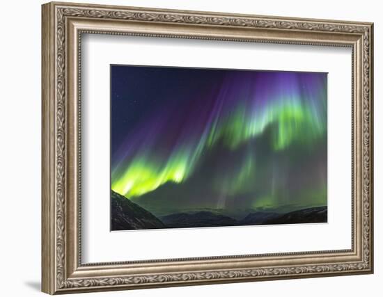 Iceland, Akureyri. Northern Lights glowing.-Ellen Goff-Framed Photographic Print