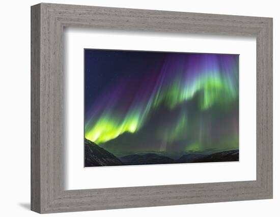 Iceland, Akureyri. Northern Lights glowing.-Ellen Goff-Framed Photographic Print