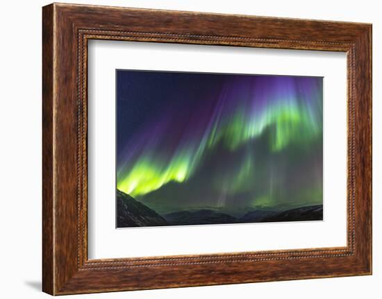 Iceland, Akureyri. Northern Lights glowing.-Ellen Goff-Framed Photographic Print