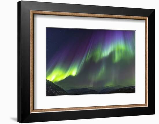 Iceland, Akureyri. Northern Lights glowing.-Ellen Goff-Framed Photographic Print