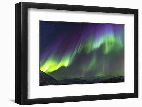 Iceland, Akureyri. Northern Lights glowing.-Ellen Goff-Framed Photographic Print