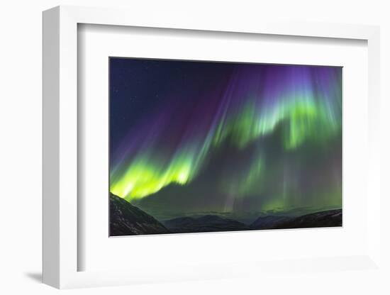 Iceland, Akureyri. Northern Lights glowing.-Ellen Goff-Framed Photographic Print