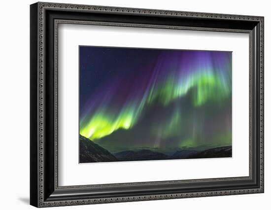 Iceland, Akureyri. Northern Lights glowing.-Ellen Goff-Framed Photographic Print