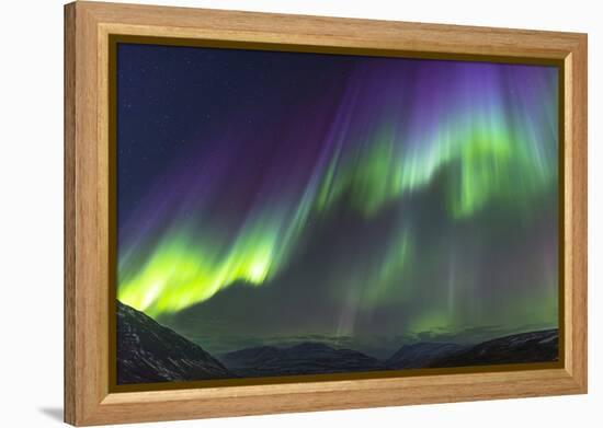 Iceland, Akureyri. Northern Lights glowing.-Ellen Goff-Framed Premier Image Canvas