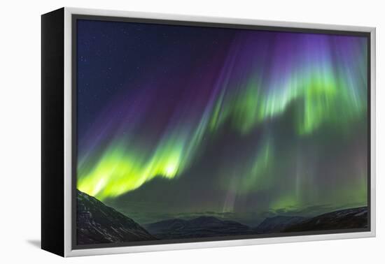 Iceland, Akureyri. Northern Lights glowing.-Ellen Goff-Framed Premier Image Canvas