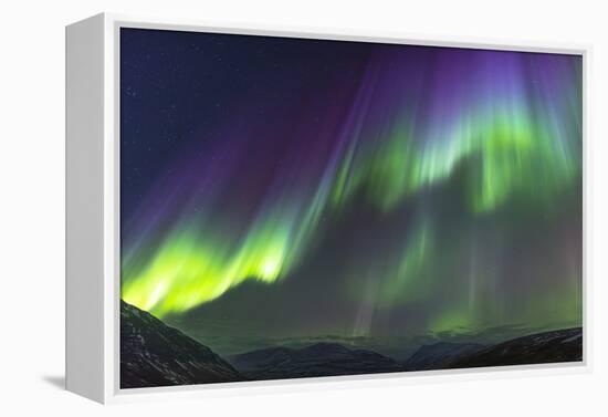 Iceland, Akureyri. Northern Lights glowing.-Ellen Goff-Framed Premier Image Canvas