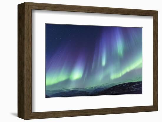 Iceland, Akureyri. Northern Lights glowing.-Ellen Goff-Framed Photographic Print