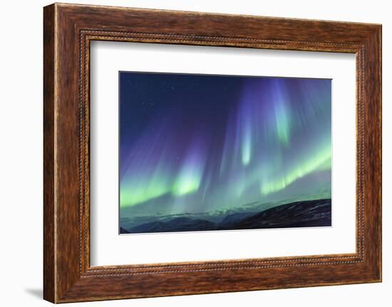 Iceland, Akureyri. Northern Lights glowing.-Ellen Goff-Framed Photographic Print