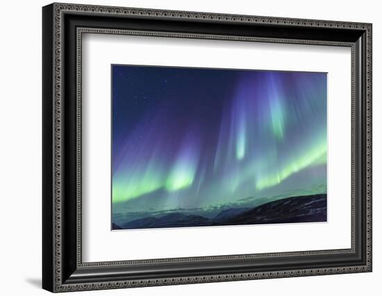 Iceland, Akureyri. Northern Lights glowing.-Ellen Goff-Framed Photographic Print