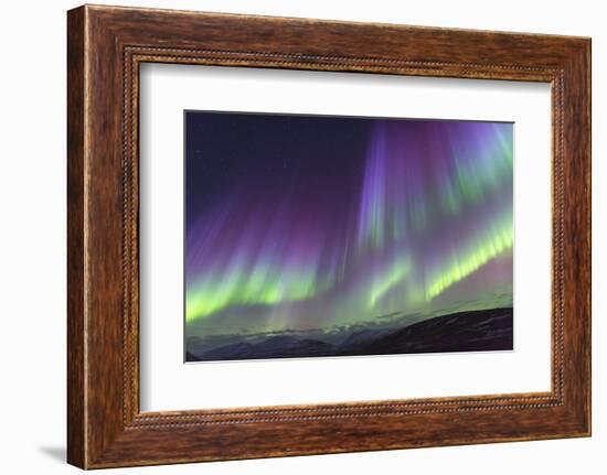 Iceland, Akureyri. The northern lights glow in unbelievable colors.-Ellen Goff-Framed Photographic Print