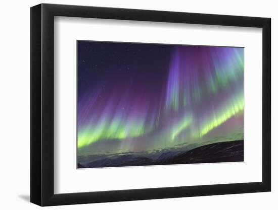 Iceland, Akureyri. The northern lights glow in unbelievable colors.-Ellen Goff-Framed Photographic Print