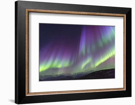 Iceland, Akureyri. The northern lights glow in unbelievable colors.-Ellen Goff-Framed Photographic Print