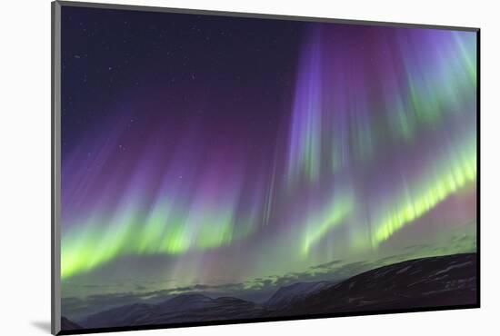 Iceland, Akureyri. The northern lights glow in unbelievable colors.-Ellen Goff-Mounted Photographic Print