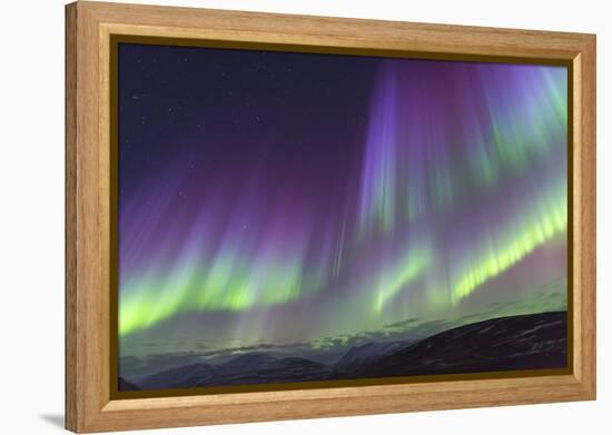 Iceland, Akureyri. The northern lights glow in unbelievable colors.-Ellen Goff-Framed Premier Image Canvas