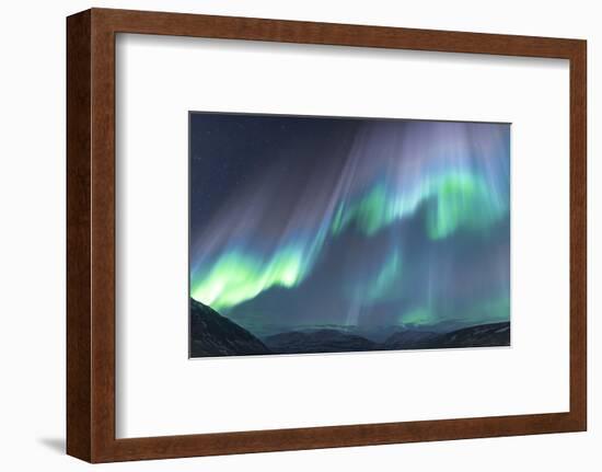 Iceland, Akureyri. The northern lights glow in unbelievable colors.-Ellen Goff-Framed Photographic Print