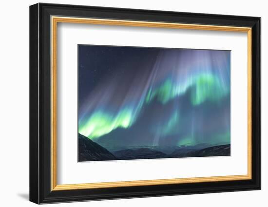 Iceland, Akureyri. The northern lights glow in unbelievable colors.-Ellen Goff-Framed Photographic Print