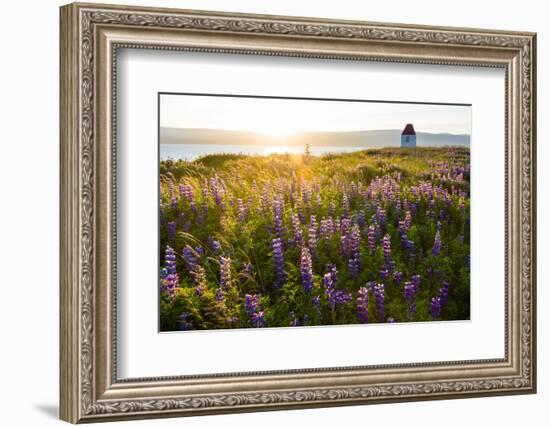 Iceland, Budardalur-Catharina Lux-Framed Photographic Print