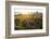 Iceland, Budardalur-Catharina Lux-Framed Photographic Print