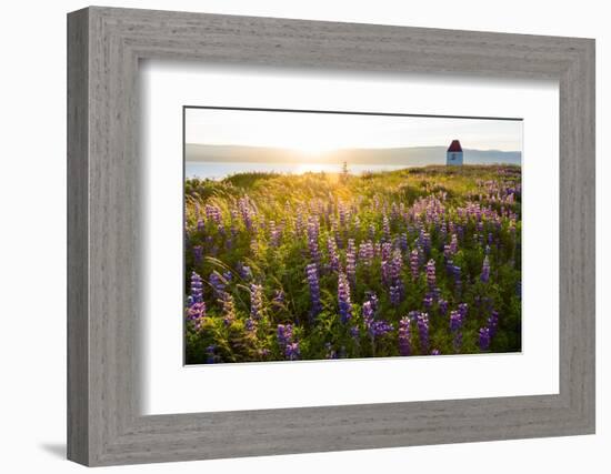 Iceland, Budardalur-Catharina Lux-Framed Photographic Print