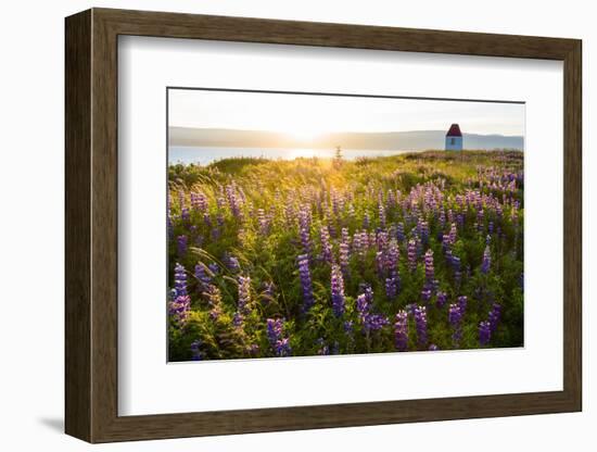 Iceland, Budardalur-Catharina Lux-Framed Photographic Print