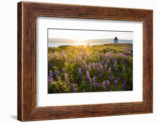 Iceland, Budardalur-Catharina Lux-Framed Photographic Print