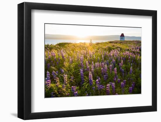 Iceland, Budardalur-Catharina Lux-Framed Photographic Print