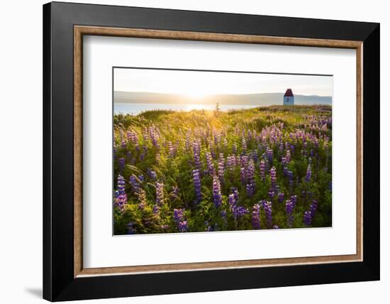 Iceland, Budardalur-Catharina Lux-Framed Photographic Print