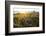 Iceland, Budardalur-Catharina Lux-Framed Photographic Print