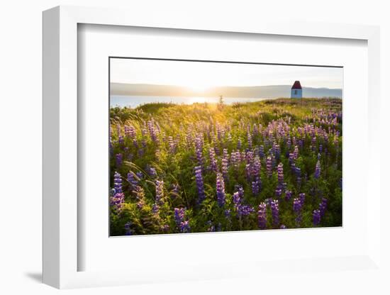 Iceland, Budardalur-Catharina Lux-Framed Photographic Print