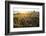 Iceland, Budardalur-Catharina Lux-Framed Photographic Print