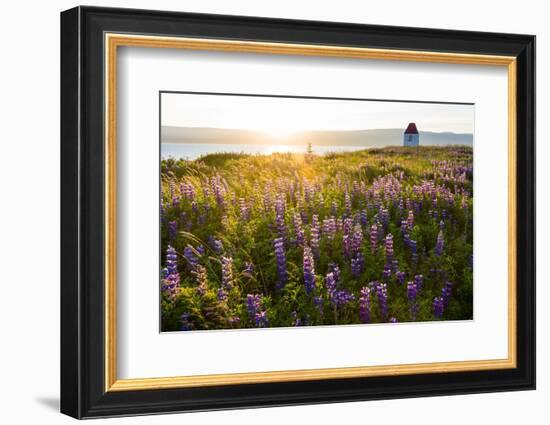 Iceland, Budardalur-Catharina Lux-Framed Photographic Print