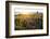 Iceland, Budardalur-Catharina Lux-Framed Photographic Print