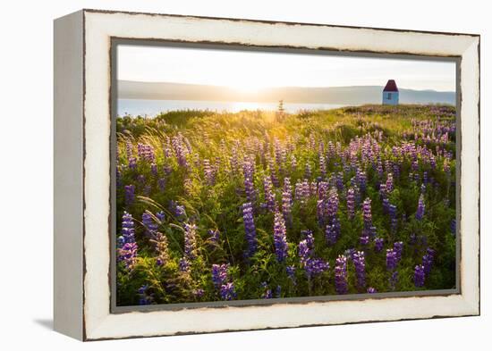 Iceland, Budardalur-Catharina Lux-Framed Premier Image Canvas