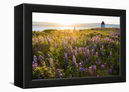 Iceland, Budardalur-Catharina Lux-Framed Premier Image Canvas