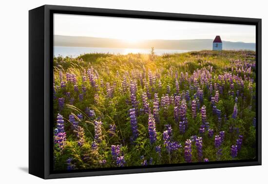 Iceland, Budardalur-Catharina Lux-Framed Premier Image Canvas