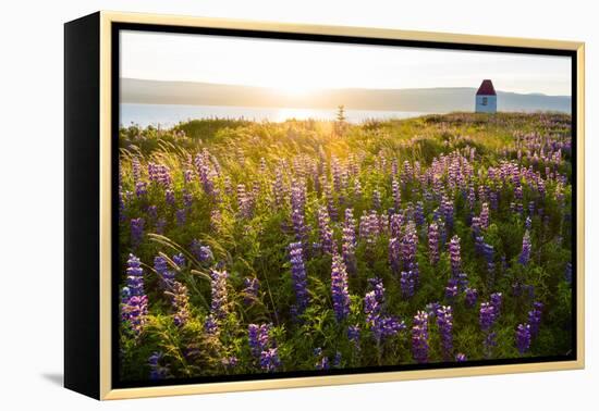 Iceland, Budardalur-Catharina Lux-Framed Premier Image Canvas