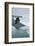 Iceland. Dyrholaey. Black Sand Beach and Sea Stack-Inger Hogstrom-Framed Photographic Print