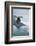 Iceland. Dyrholaey. Black Sand Beach and Sea Stack-Inger Hogstrom-Framed Photographic Print