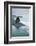 Iceland. Dyrholaey. Black Sand Beach and Sea Stack-Inger Hogstrom-Framed Photographic Print