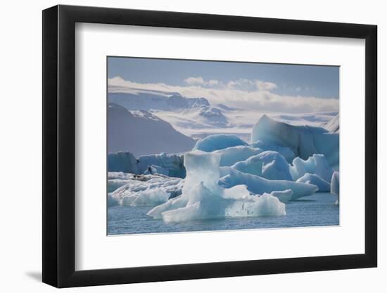 Iceland. East Region. Jokulsarlon. Glacial Lake. Icebergs in the Lake-Inger Hogstrom-Framed Photographic Print