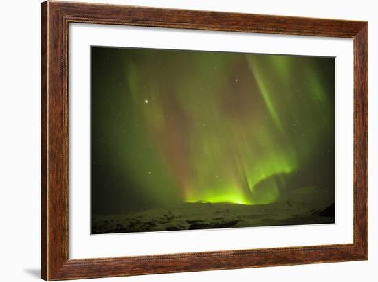 Iceland, Fjallsarlon. the Northern Lights Appearing in the Sky at Fjallsarlonll.-Katie Garrod-Framed Photographic Print