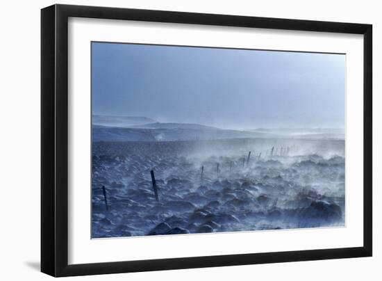 Iceland: Fjord in Wintertime Just North of Reykjavik, 2022 (Photo)-Sisse Brimberg-Framed Giclee Print