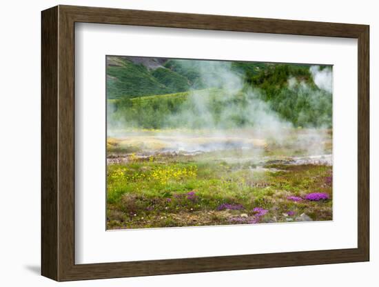 Iceland, Geothermal Field, Geyser-Catharina Lux-Framed Photographic Print