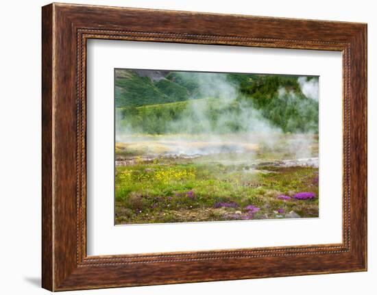 Iceland, Geothermal Field, Geyser-Catharina Lux-Framed Photographic Print