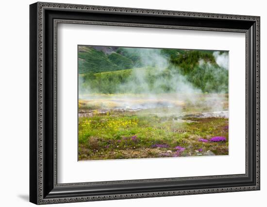 Iceland, Geothermal Field, Geyser-Catharina Lux-Framed Photographic Print